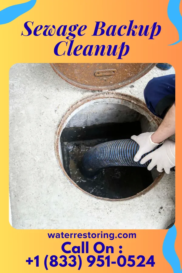 Sewage Backup Cleanup in Paderborn, IL