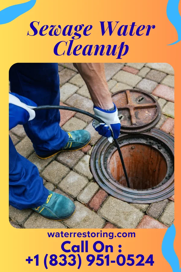 Sewage Water Cleanup in Paderborn, IL